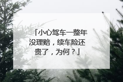 小心驾车一整年没理赔，续车险还贵了，为何？