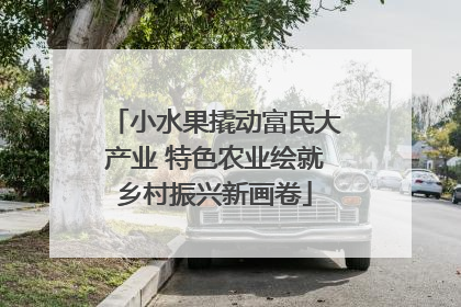 小水果撬动富民大产业 特色农业绘就乡村振兴新画卷