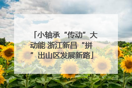 小轴承“传动”大动能 浙江新昌“拼”出山区发展新路