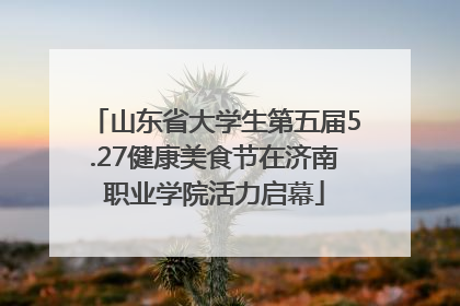 山东省大学生第五届5.27健康美食节在济南职业学院活力启幕
