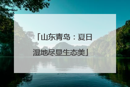 山东青岛：夏日湿地尽显生态美
