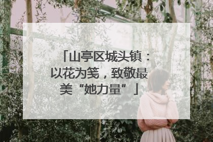 山亭区城头镇：以花为笺，致敬最美“她力量”