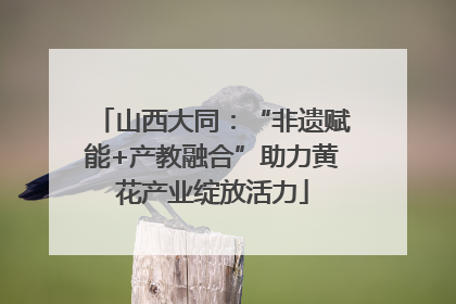 山西大同：“非遗赋能+产教融合”助力黄花产业绽放活力