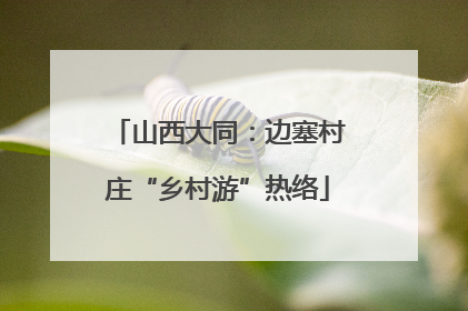 山西大同：边塞村庄“乡村游”热络