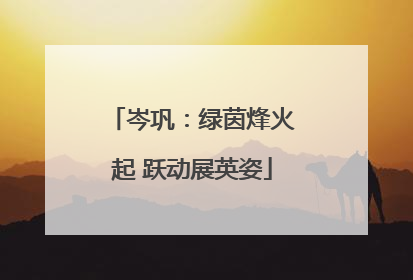 岑巩：绿茵烽火起 跃动展英姿