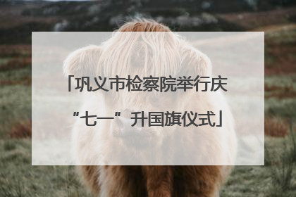 巩义市检察院举行庆“七一”升国旗仪式