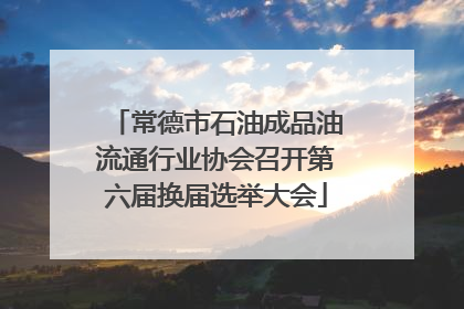 常德市石油成品油流通行业协会召开第六届换届选举大会