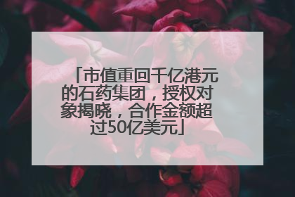 市值重回千亿港元的石药集团，授权对象揭晓，合作金额超过50亿美元