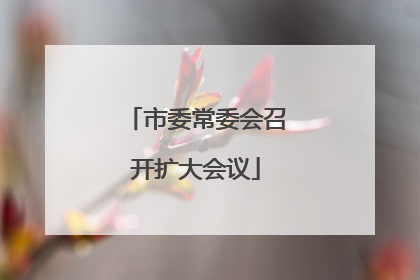 市委常委会召开扩大会议