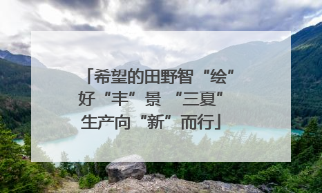 希望的田野智“绘”好“丰”景 “三夏”生产向“新”而行