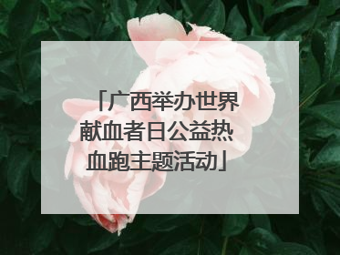 广西举办世界献血者日公益热血跑主题活动