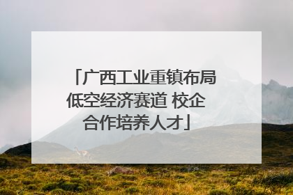 广西工业重镇布局低空经济赛道 校企合作培养人才