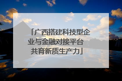 广西搭建科技型企业与金融对接平台 共育新质生产力