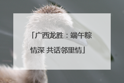 广西龙胜：端午粽情深 共话邻里情