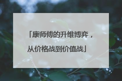 康师傅的升维博弈，从价格战到价值战