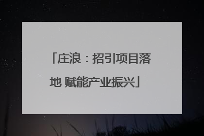 庄浪：招引项目落地 赋能产业振兴