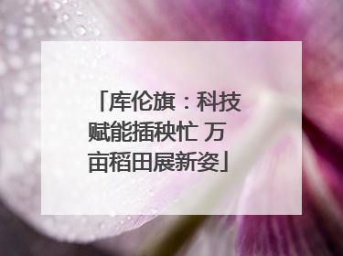 库伦旗：科技赋能插秧忙 万亩稻田展新姿