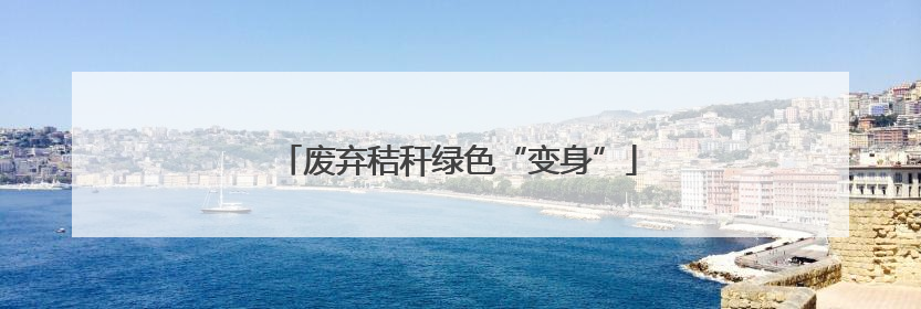 废弃秸秆绿色“变身”