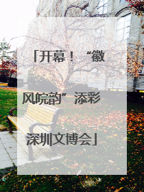 开幕！“徽风皖韵”添彩深圳文博会