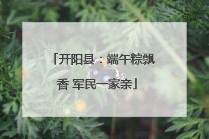 开阳县：端午粽飘香 军民一家亲