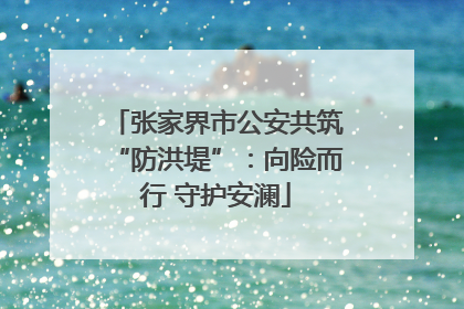 张家界市公安共筑“防洪堤”：向险而行 守护安澜