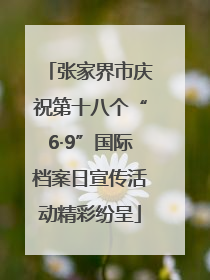 张家界市庆祝第十八个“6·9”国际档案日宣传活动精彩纷呈