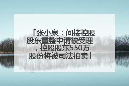 张小泉：间接控股股东重整申请被受理，控股股东550万股份将被司法拍卖