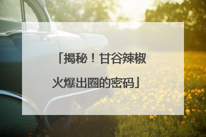 揭秘！甘谷辣椒火爆出圈的密码