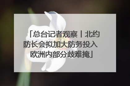 总台记者观察丨北约防长会拟加大防务投入 欧洲内部分歧难掩