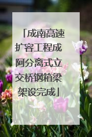 成南高速扩容工程成阿分离式立交桥钢箱梁架设完成