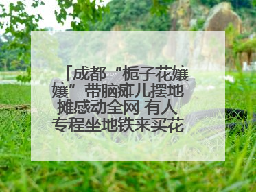 成都“栀子花孃孃”带脑瘫儿摆地摊感动全网 有人专程坐地铁来买花！丨封面头条