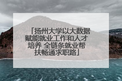 扬州大学以大数据赋能就业工作和人才培养 全链条就业帮扶畅通求职路