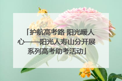 护航高考路 阳光暖人心——阳光人寿山分开展系列高考助考活动