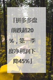 拼多多盘前跌超20%，第一季度净利润下降45%