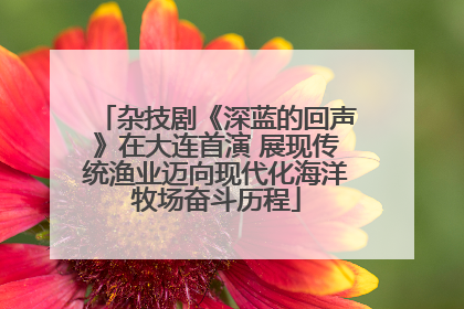 杂技剧《深蓝的回声》在大连首演 展现传统渔业迈向现代化海洋牧场奋斗历程