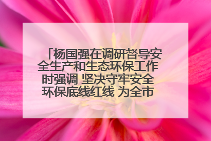 杨国强在调研督导安全生产和生态环保工作时强调 坚决守牢安全环保底线红线 为全市经济社会高质量发展提供坚强保障