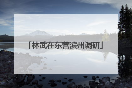 林武在东营滨州调研
