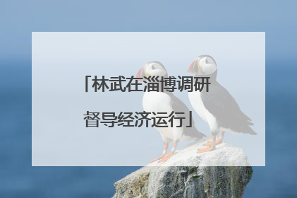 林武在淄博调研督导经济运行
