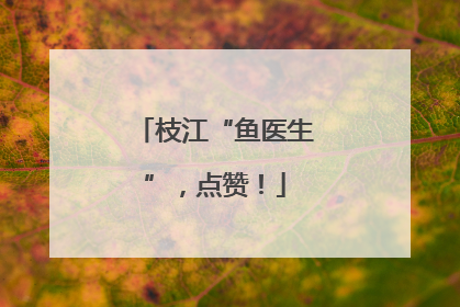 枝江“鱼医生”，点赞！