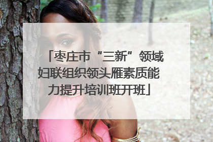 枣庄市“三新”领域妇联组织领头雁素质能力提升培训班开班