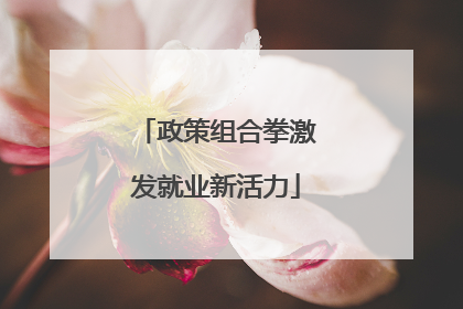 政策组合拳激发就业新活力