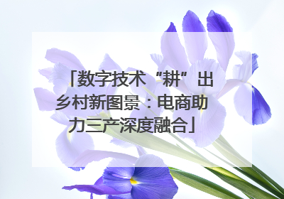 数字技术“耕”出乡村新图景：电商助力三产深度融合
