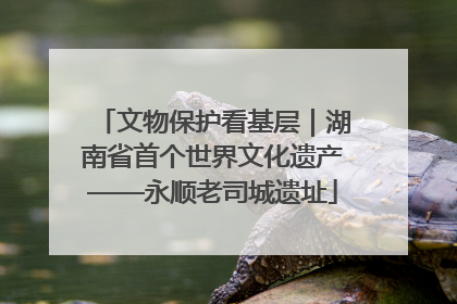 文物保护看基层｜湖南省首个世界文化遗产——永顺老司城遗址