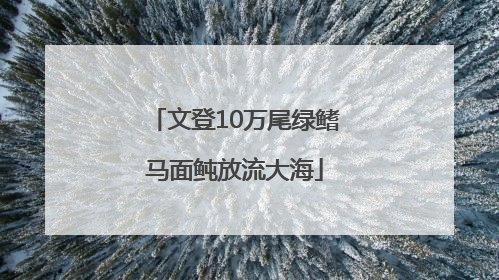文登10万尾绿鳍马面鲀放流大海