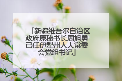 新疆维吾尔自治区政府原秘书长周旭勇已任伊犁州人大常委会党组书记