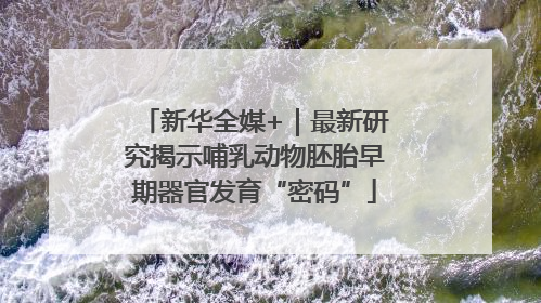 新华全媒+｜最新研究揭示哺乳动物胚胎早期器官发育“密码”
