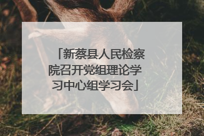 新蔡县人民检察院召开党组理论学习中心组学习会