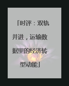 时评：双轨并进，运输数据里的经济转型动能
