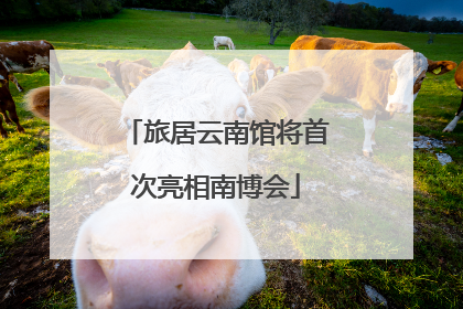 旅居云南馆将首次亮相南博会