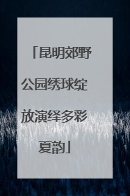 昆明郊野公园绣球绽放演绎多彩夏韵
